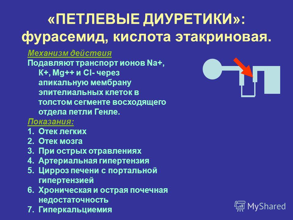 Петлевые диуретики презентация