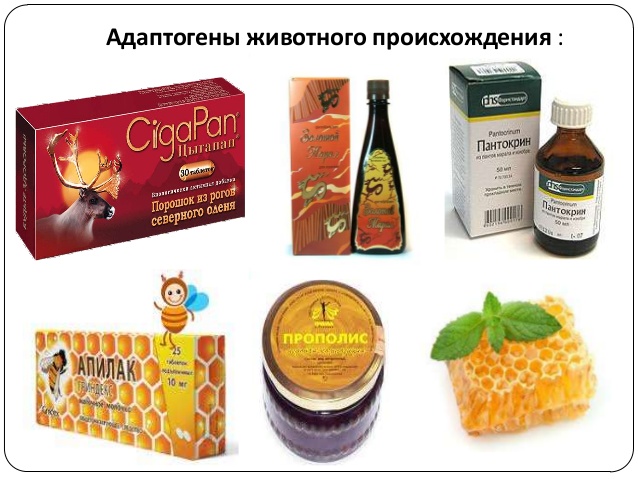адаптогенными свойствами обладают